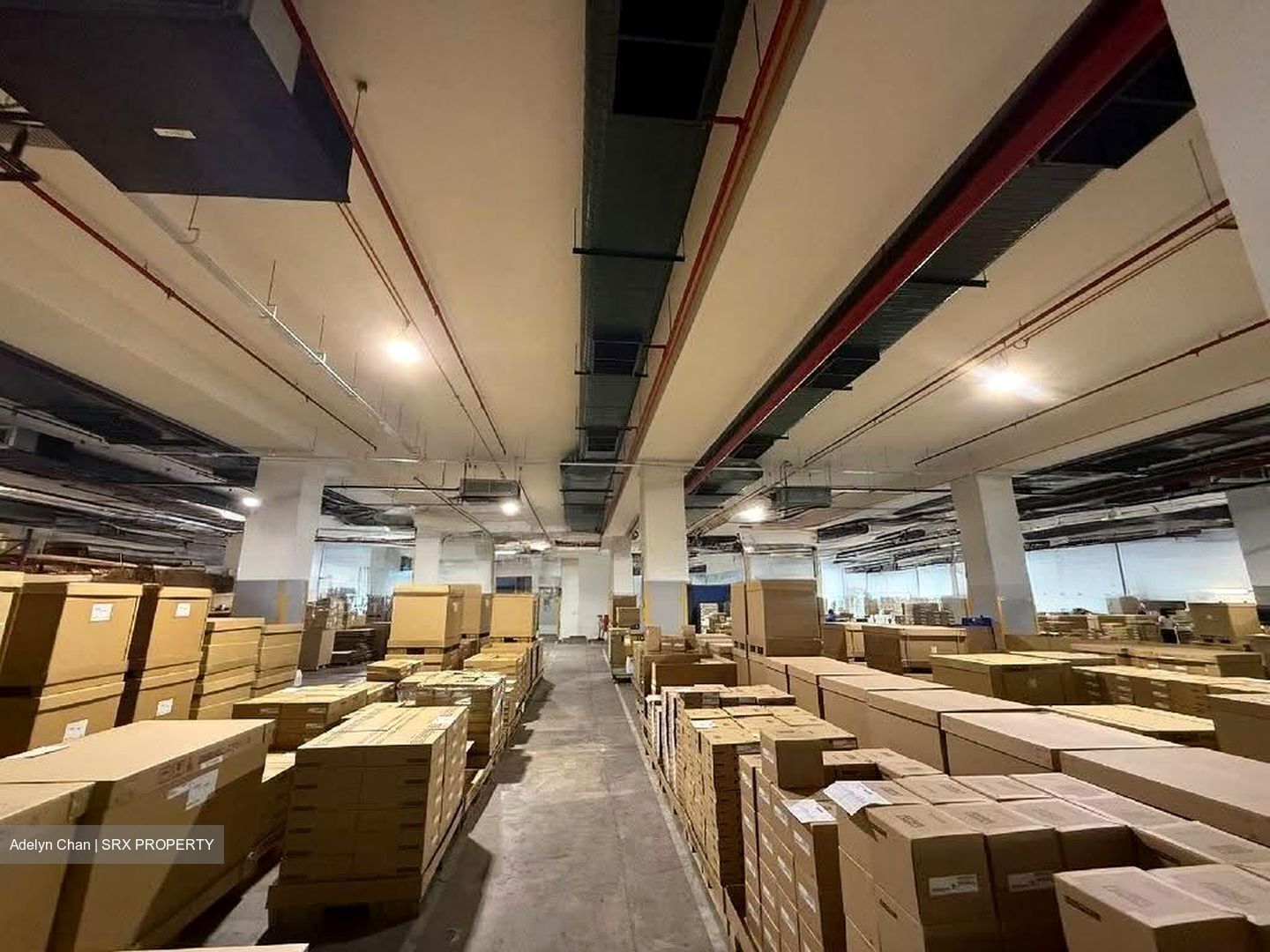 Pandan Crescent (D5), Warehouse #635434001